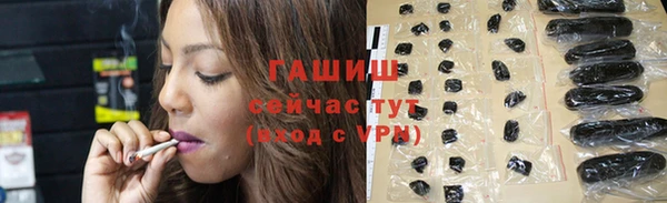 дживик Сясьстрой